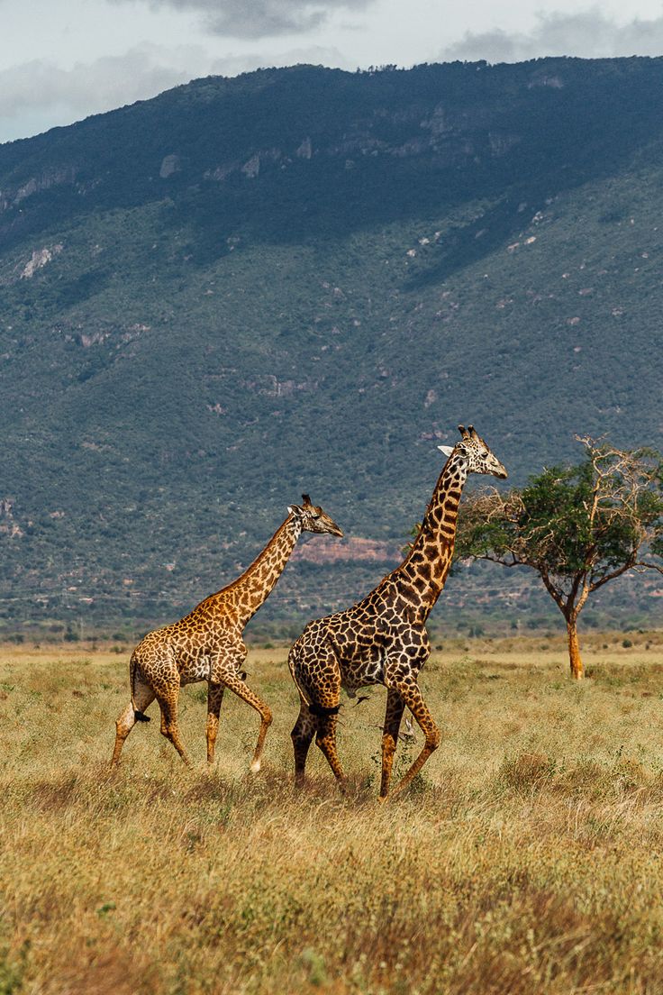 What To Pack For A Kenyan Adventure
