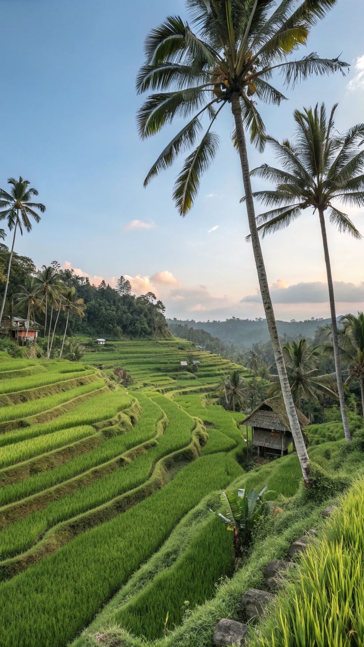 Bali