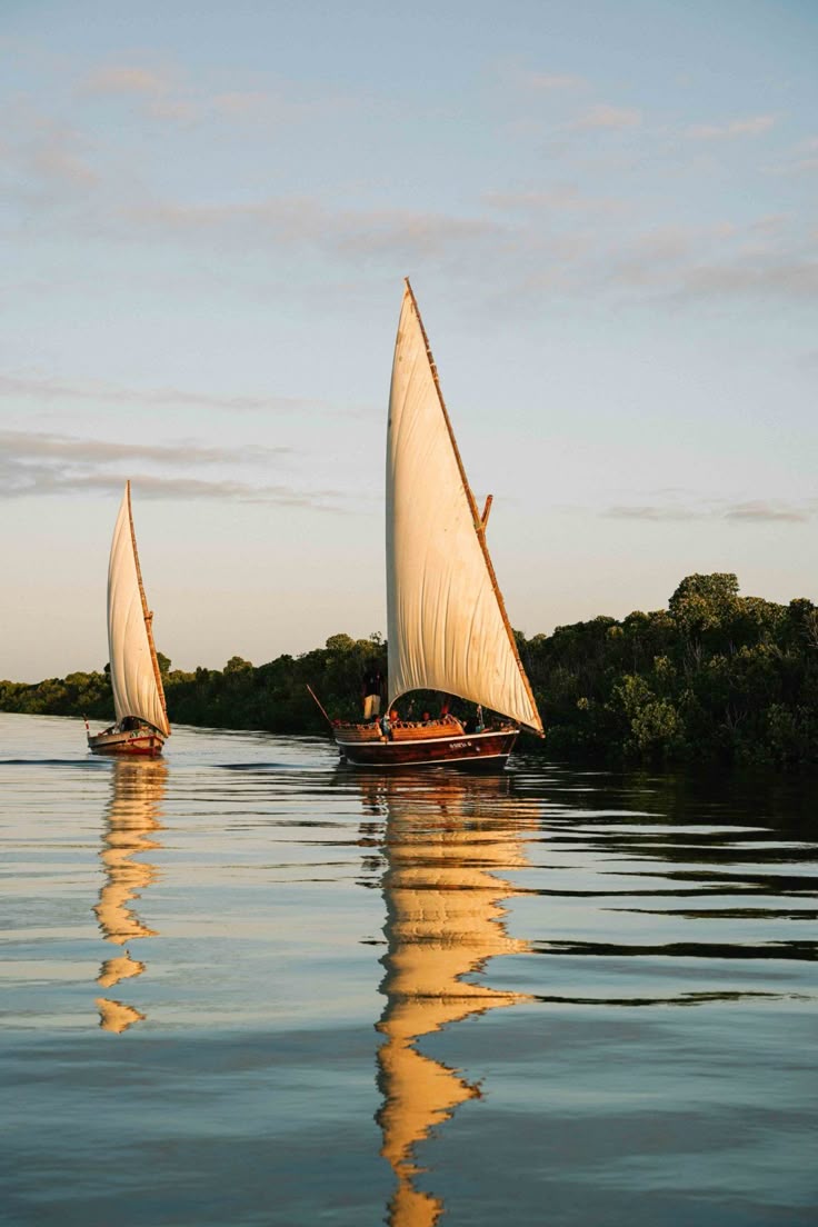 Lamu Island image 1