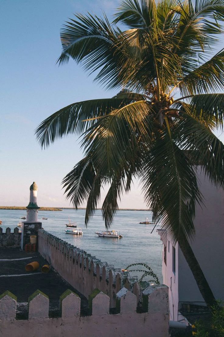 Lamu Island image 4
