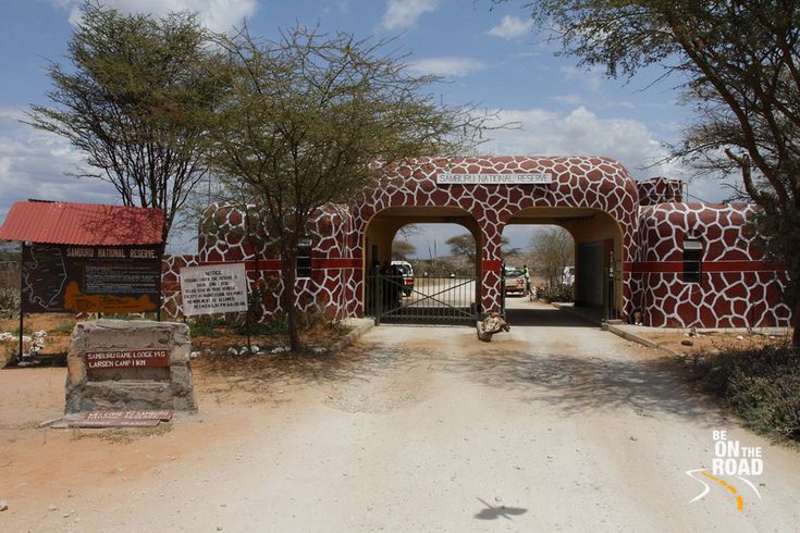 Samburu image 1