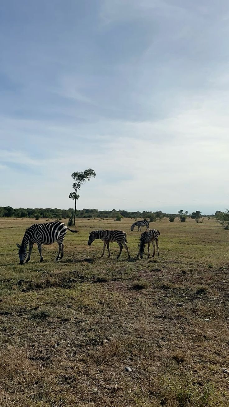 Nanyuki Getaway image 5