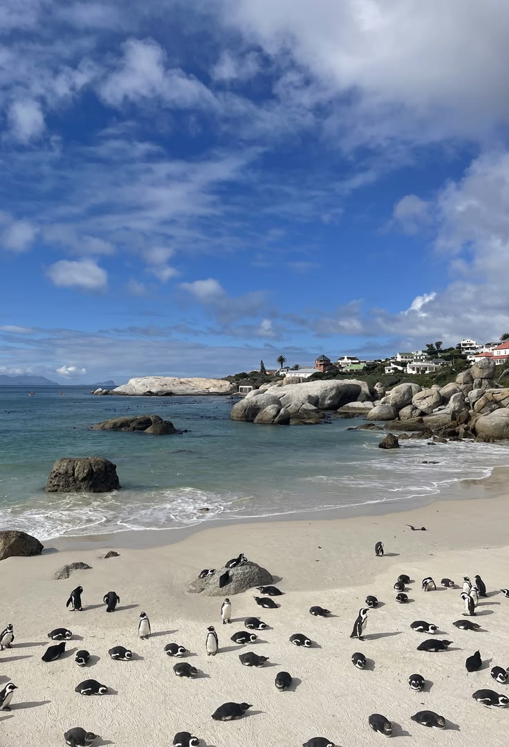 Capetown image 9