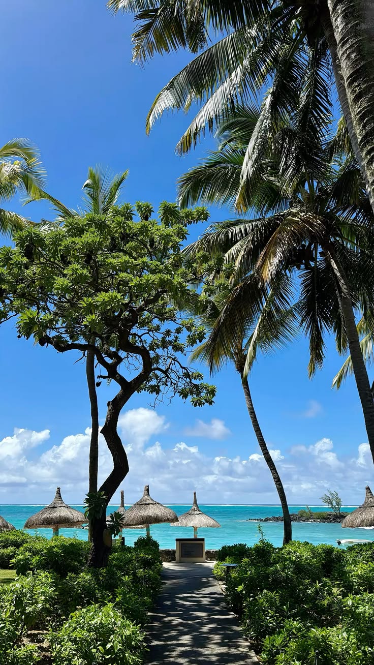 Mauritius image 2