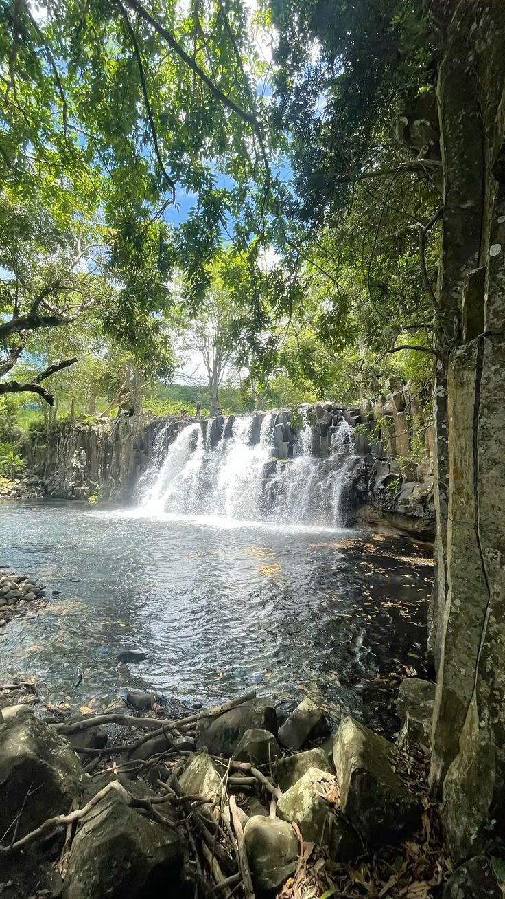 Mauritius image 4