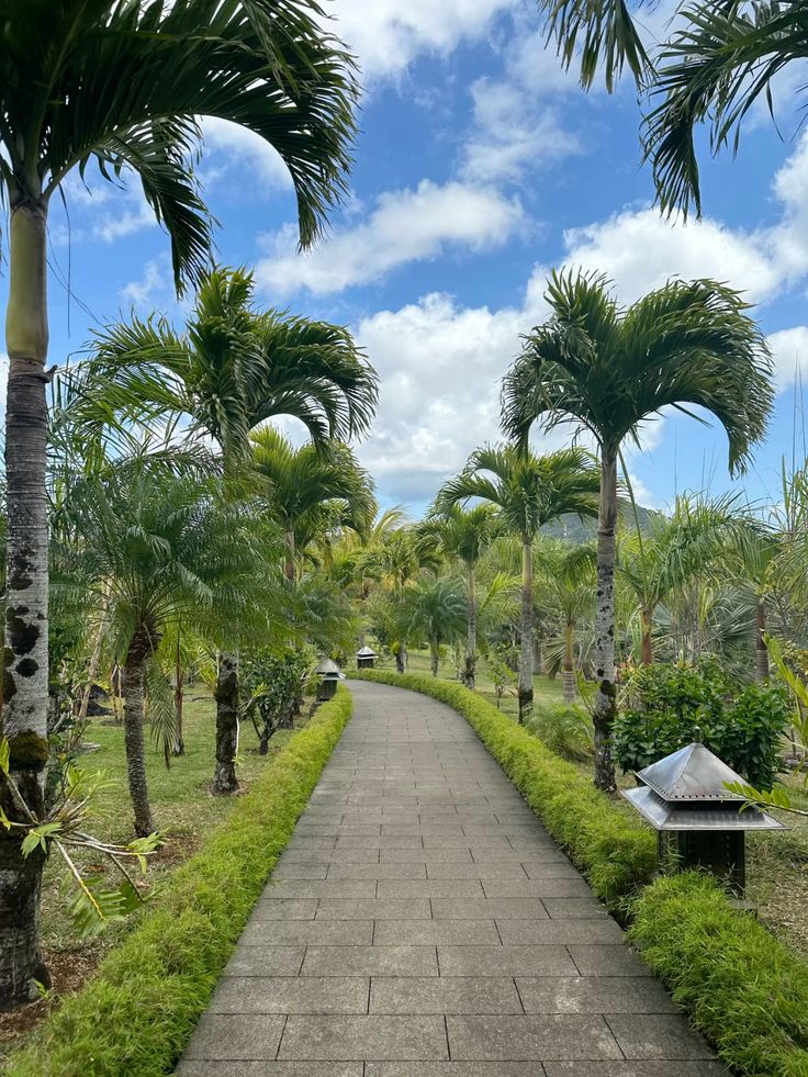Mauritius image 6