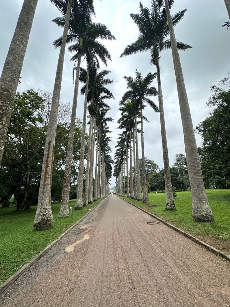 Accra image 3