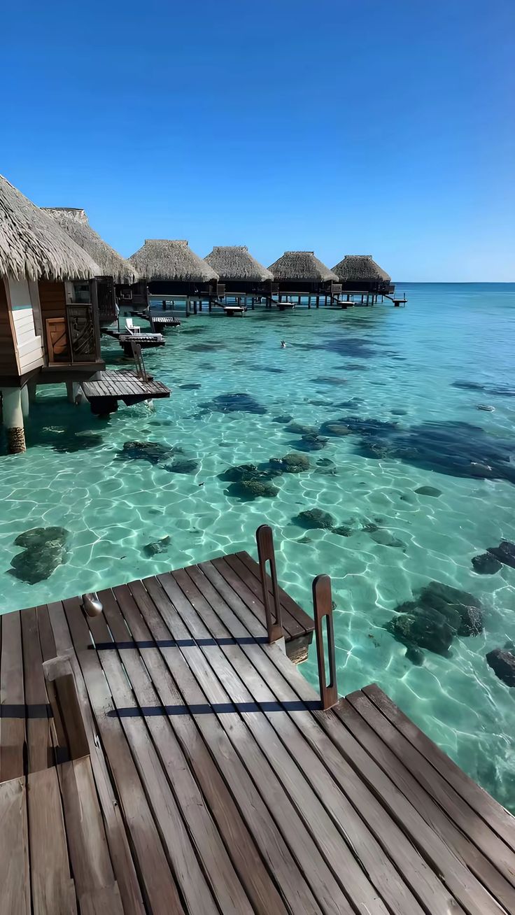 Maldives Island image 2