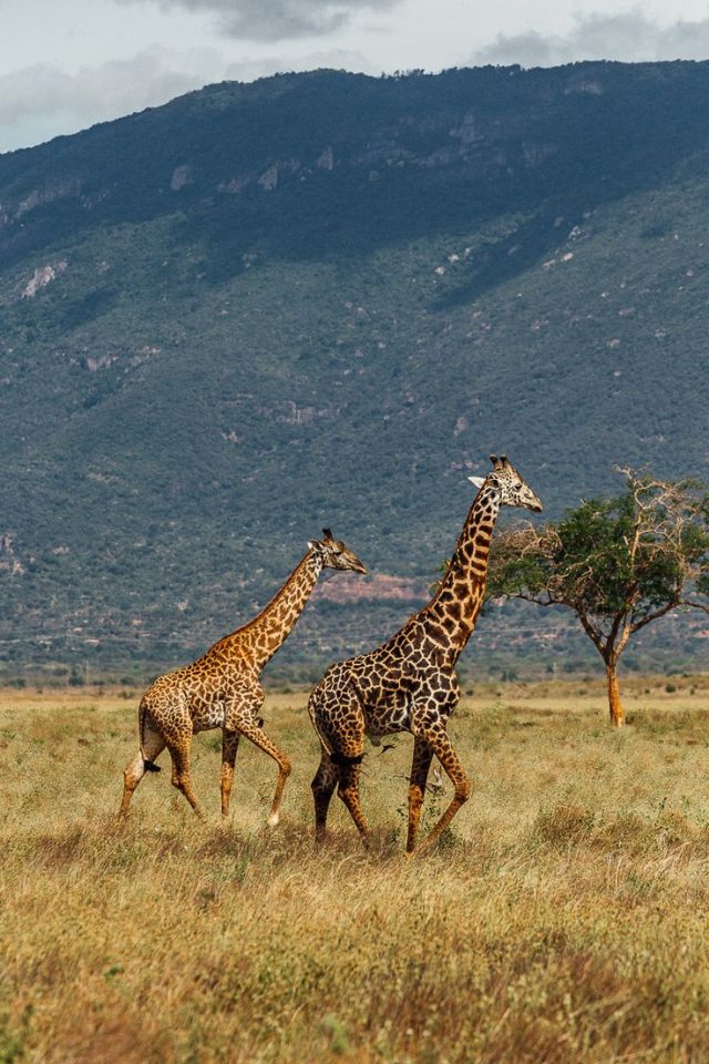 What To Pack For A Kenyan Adventure
