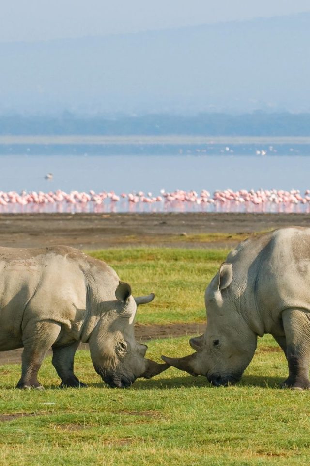 Lake Nakuru 