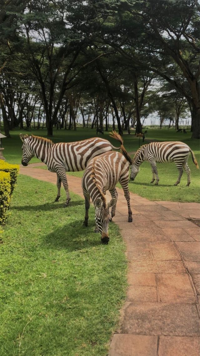 Great Rift Valley Explorer