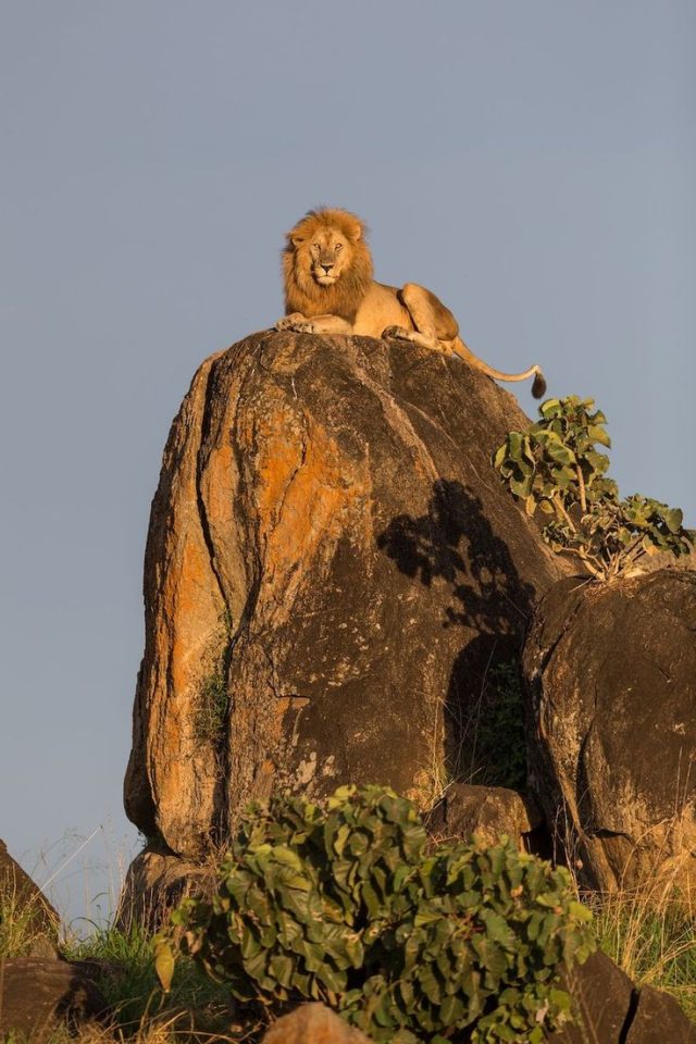 Serengeti&Ngorongoro Expedition