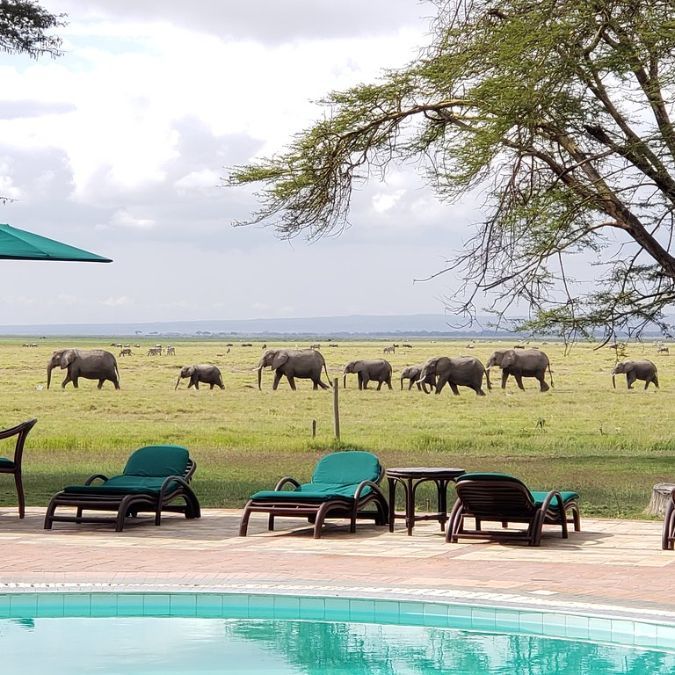 Amboseli Photography Journey image 4