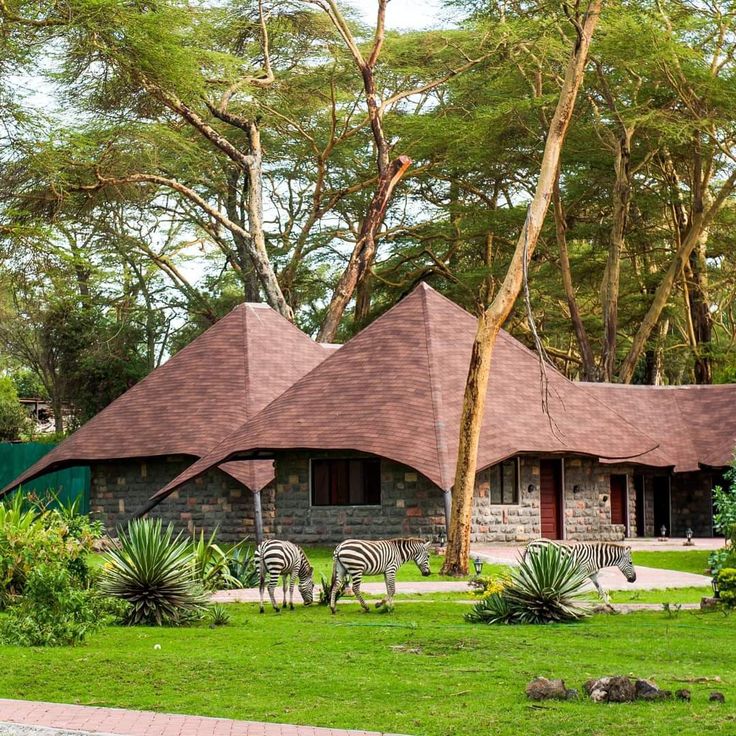 Great Rift Valley Explorer image 2