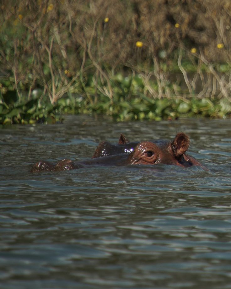 Great Rift Valley Explorer image 4