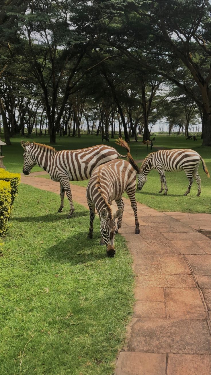 Naivasha Weekend Escape image 2