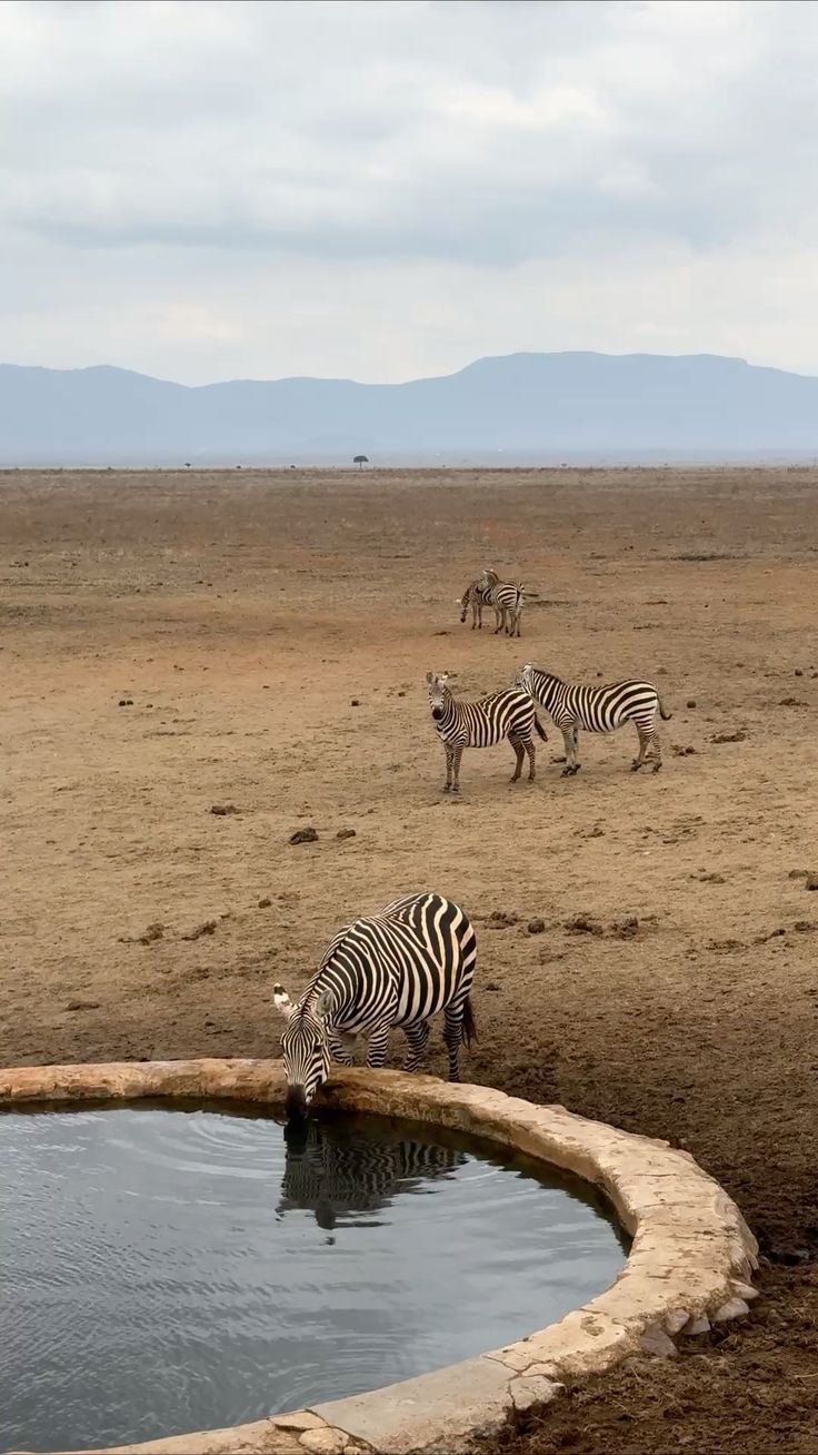 Tsavo Red Earth Expedition image 3