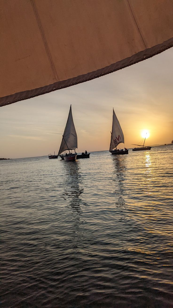 Lamu Island Luxury Escape image 1
