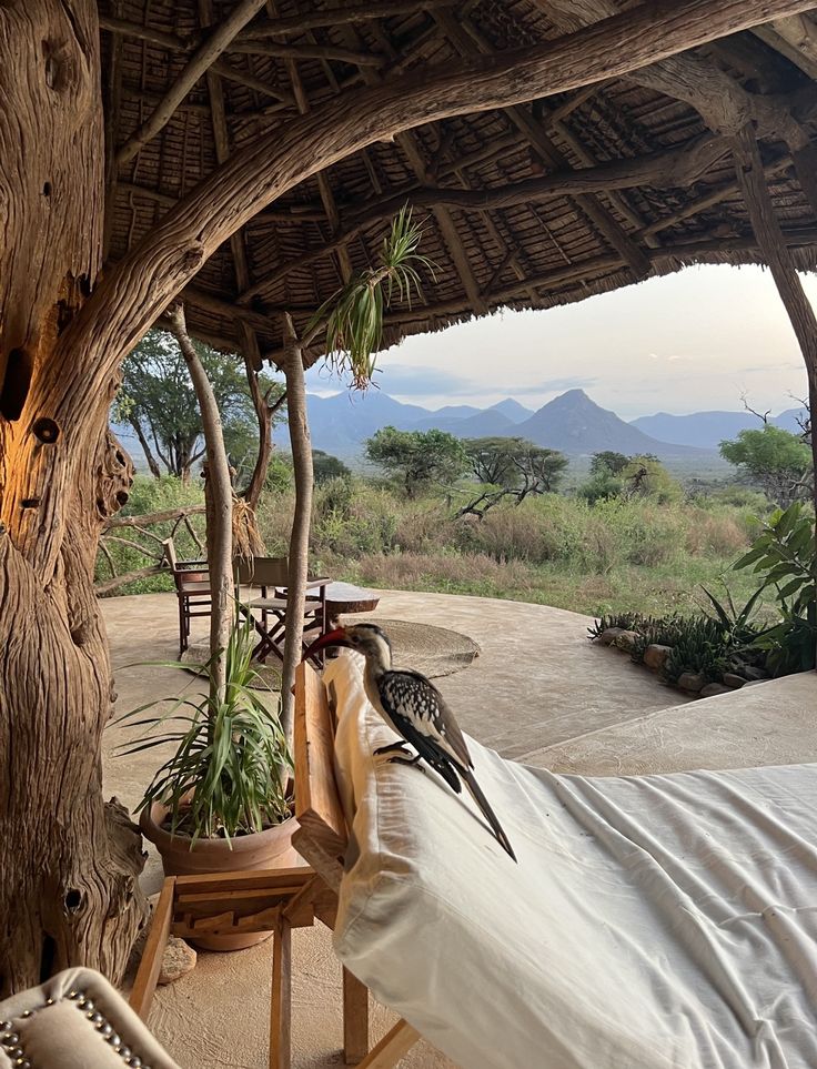 Samburu Safari Escape image 4