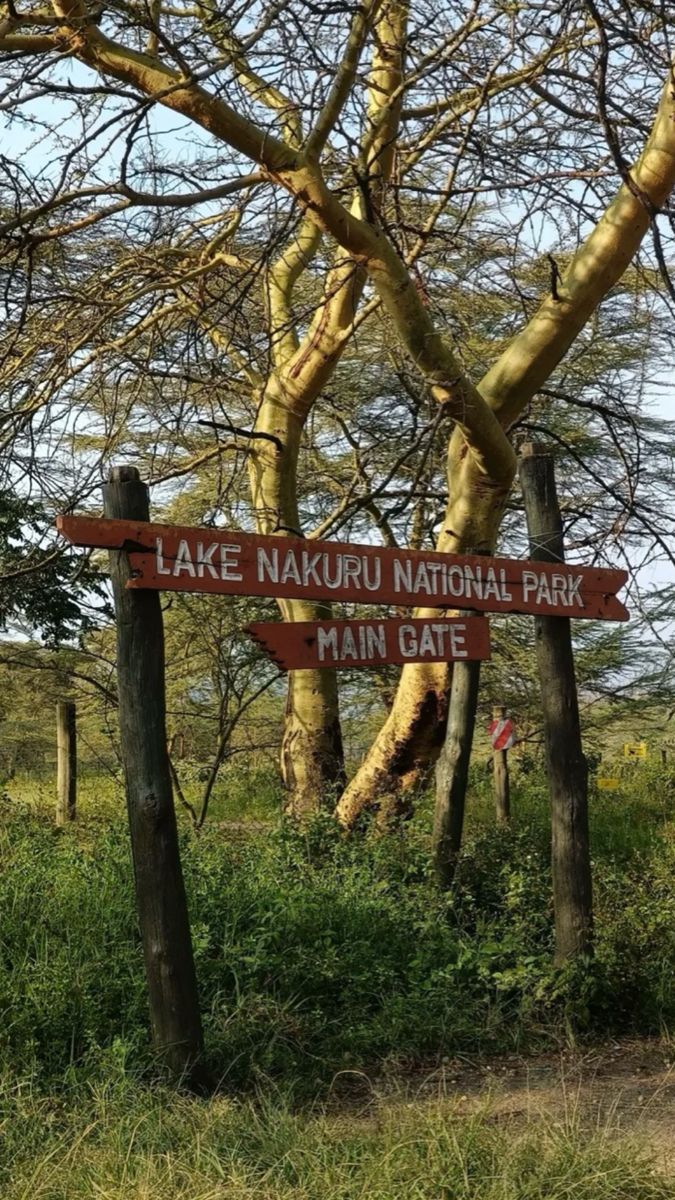 Flamingo Shores Nakuru Escape image 3