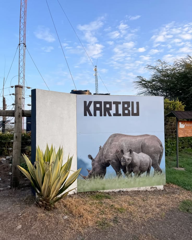 Mount Kenya Highlands Escape image 1