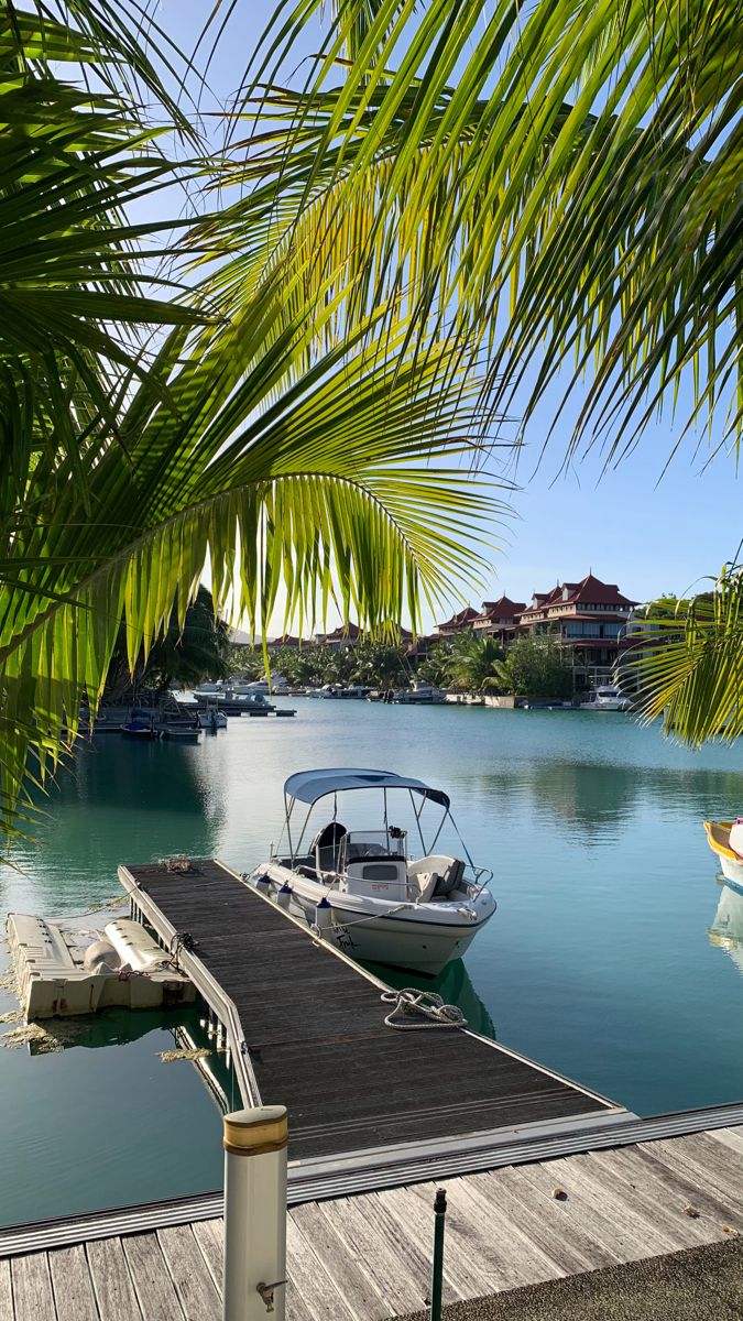 Seychelles Pure Paradise Escape image 5