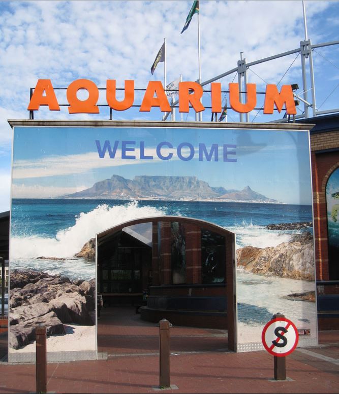 The Ultimate Cape Town Experience image 8