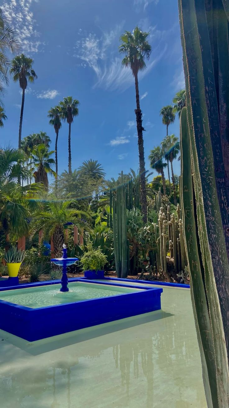 Morocco Desert & City Escape image 5