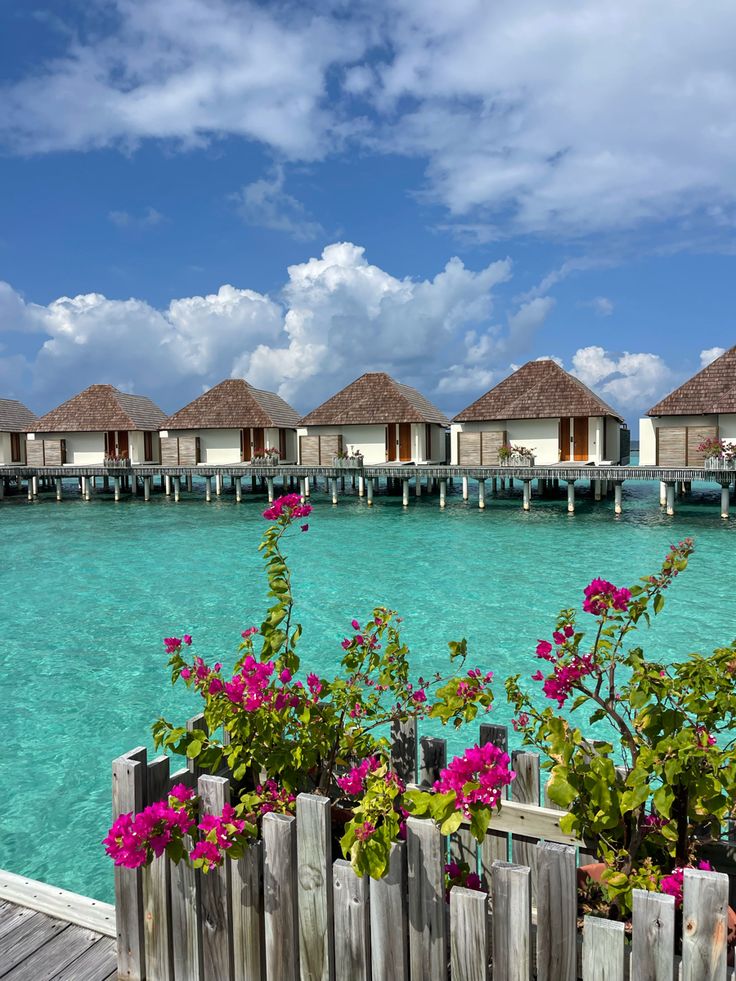 Maldives Luxury Island Escape image 5
