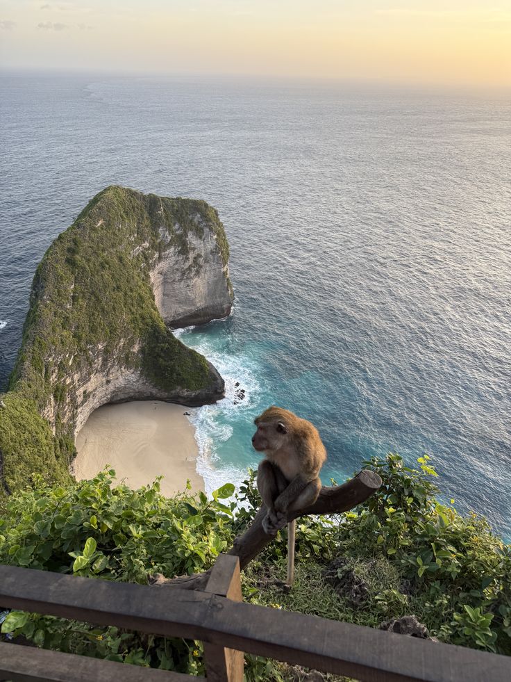 Bali Tropical Dream Escape image 4