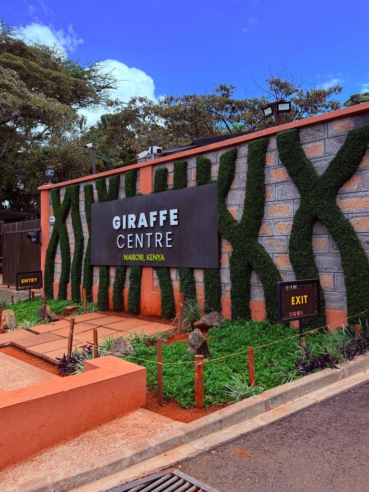 Giraffe Centre Experience – Nairobi Escape image 3