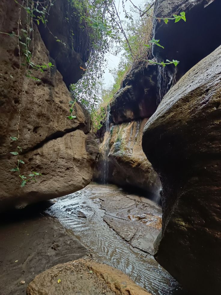 Hell’s Gate National Park Adventure – Naivasha Escape image 3