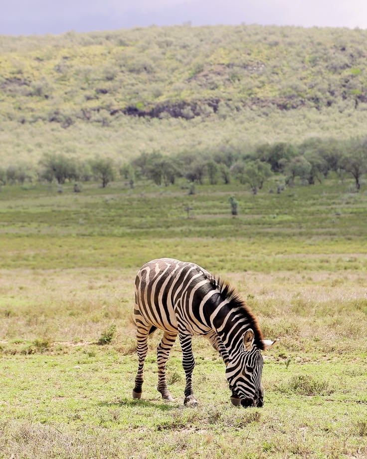 Hell’s Gate National Park Adventure – Naivasha Escape image 4
